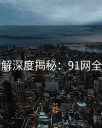 高清图解深度揭秘：91网全面盘点