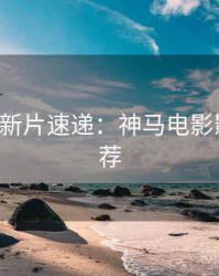 520特别新片速递：神马电影影评人推荐