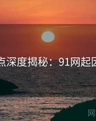 网友观点深度揭秘：91网起因与影响