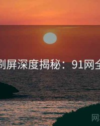 全网刷屏深度揭秘：91网全纪录
