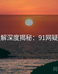 高清图解深度揭秘：91网疑点解析
