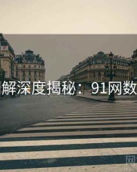 高清图解深度揭秘：91网数据盘点