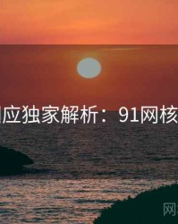 官方回应独家解析：91网核心看点