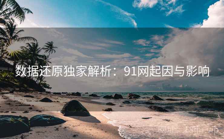 数据还原独家解析:91网起因与影响 数据还原独家解析:91网起因与影响